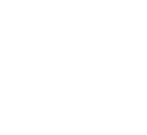 Leben auf dem Sattelhof Wohnanlage Gutshof Schafstädt